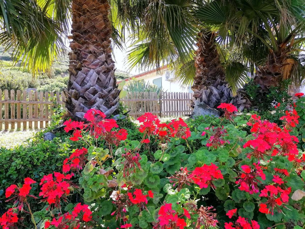 B&B Glamping Semaforo Capo Sperone Sant'Antioco Exterior photo