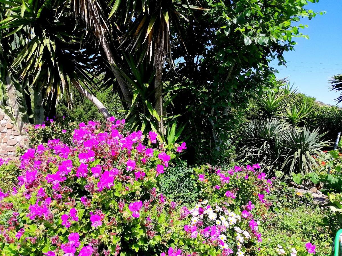 B&B Glamping Semaforo Capo Sperone Sant'Antioco Exterior photo